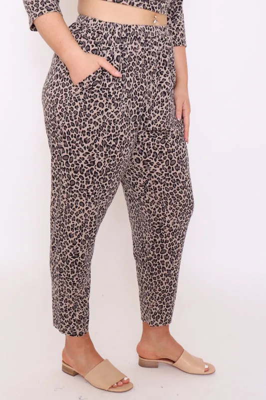 7853 Brown leopard prints pants