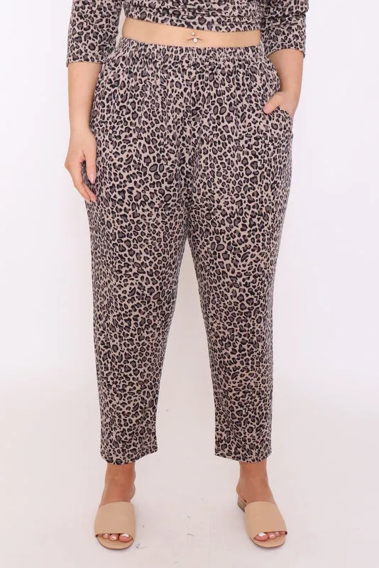 7853 Brown leopard prints pants