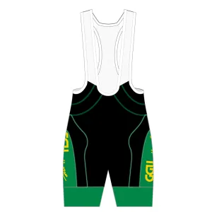 APEX  Pro Bib Shorts