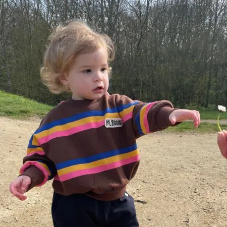 Brown Stripe Jumper