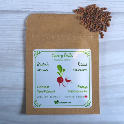 Cherry Belle Radish Seeds