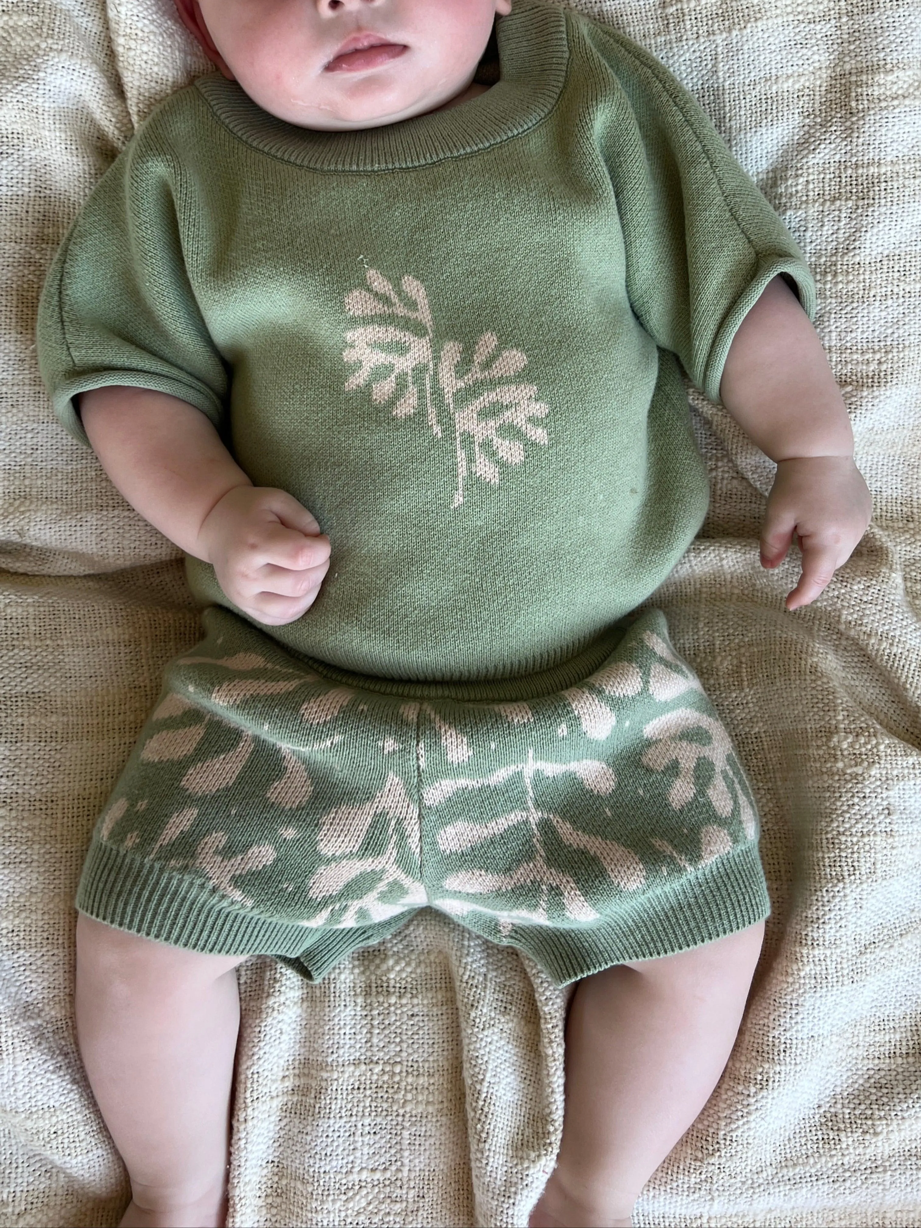 Fern Knit Shorts
