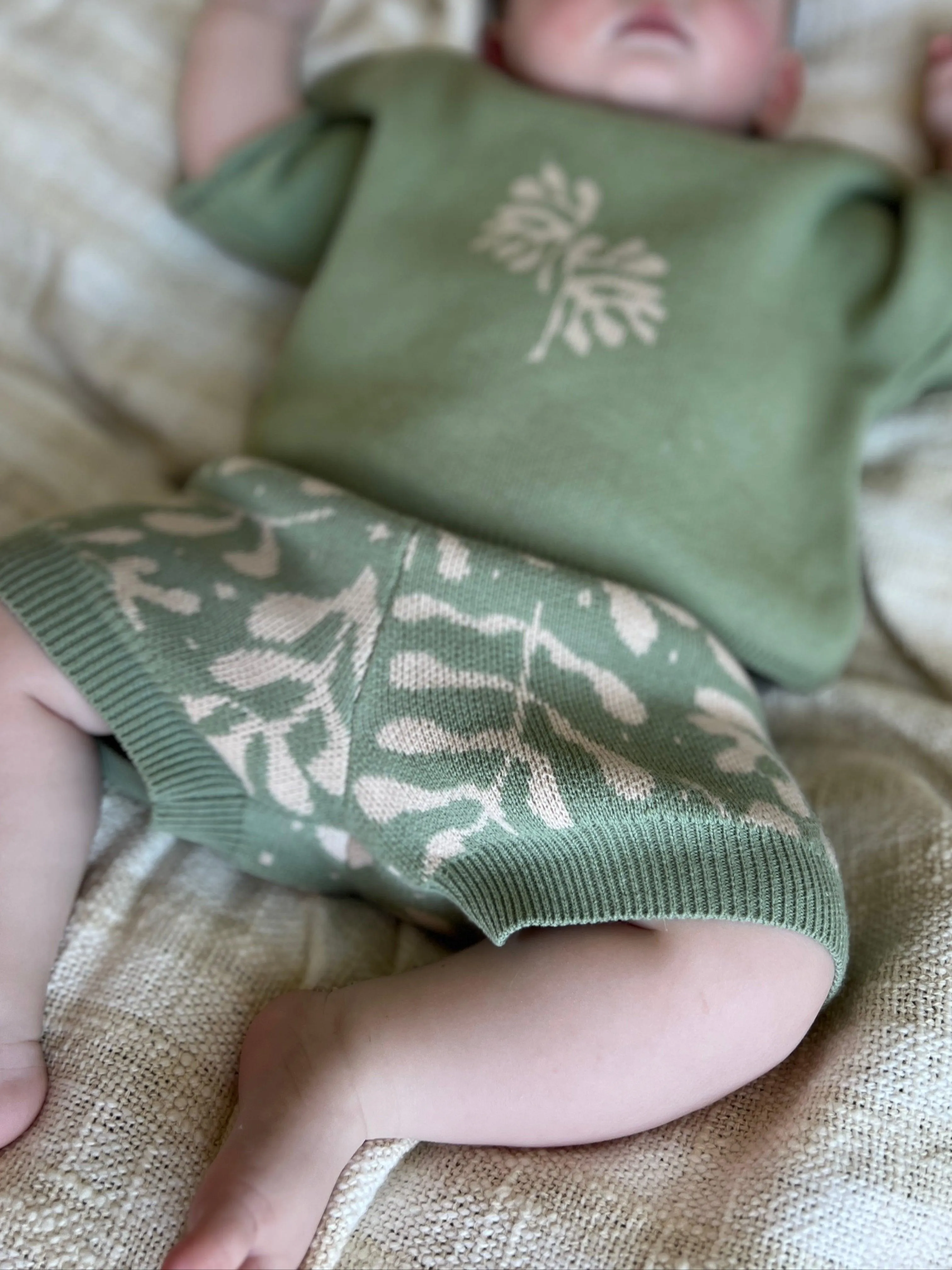 Fern Knit Shorts