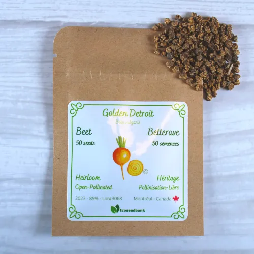 Golden Detroit Beet Seeds