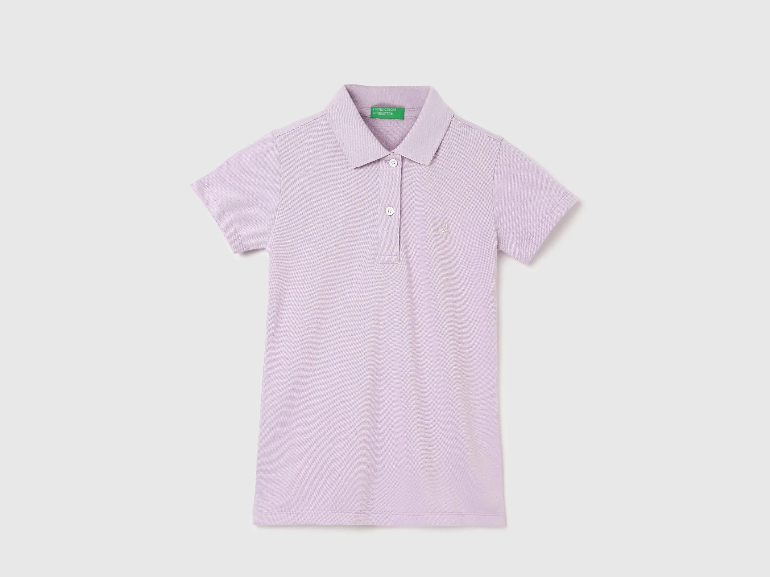 Regular Fit Polo Neck Solid T-Shirts