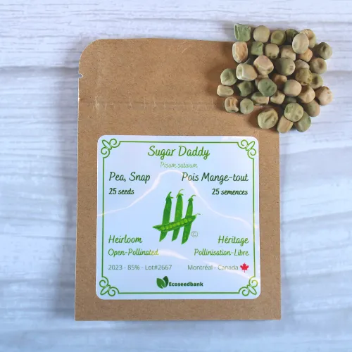 Sugar Daddy Pea Seeds