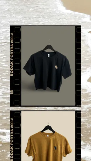 women’s sun rooster crop top